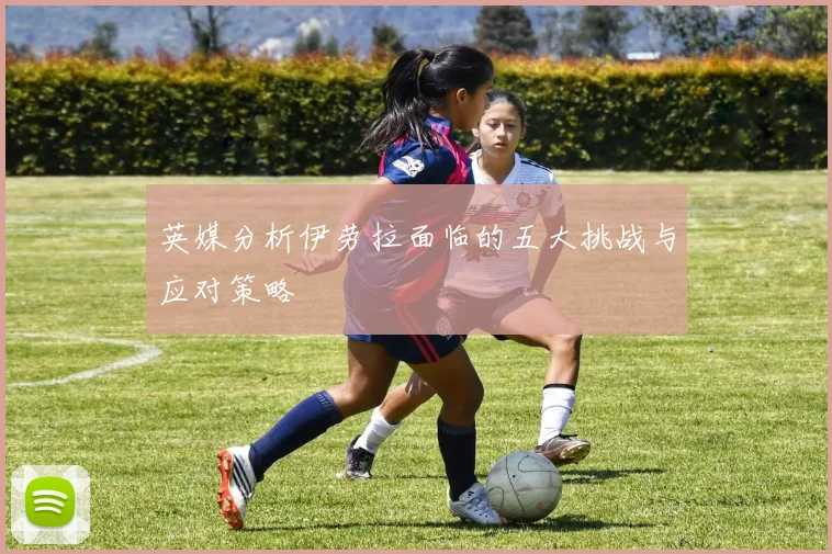 英媒分析伊劳拉面临的五大挑战与应对策略